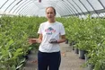 Вирощує лохину у тунелях і просто неба