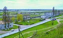 Осетри ростуть повільніше, ніж людський апетит