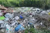 Біля Львова виявили несанкціоноване звалище відходів