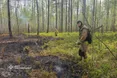 Масштабні лісові пожежі охопили чотири області України: горить понад 2 тисячі гектарів