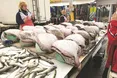 «Вам дорого? То знімайте куртку, кидайтеся у море і ловіть самі. Так вам буде безплатно»