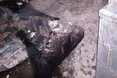 Поліція розповіла деталі вибуху в житловому будинку на Львівщині