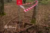 У лісі на Золочівщині чоловік знайшов мінометну міну часів Другої світової війни