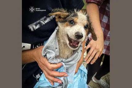 Фото із соцмереж ДСНС Львівщини