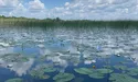 Краще, ніж у Чорногорії. А ти в Чорногорії була? Ні, але тут краще!