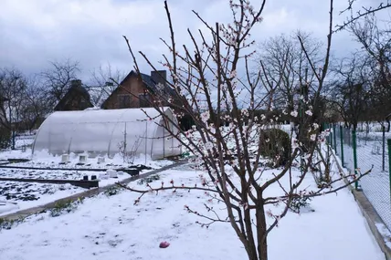 Сумний весняний пейзаж на господарстві Салагаїв у Сокільниках. Фото Петра САЛАГАЯ