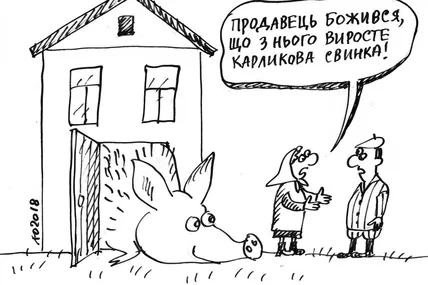 Купи свинку…
