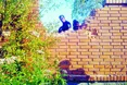 «На фіг з пляжу» по-львівськи