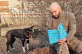 Чотирилапі «безхатьки», господарями яких стали воїни