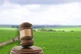 На Львівщині виставили на аукціон право оренди шести комунальних земельних ділянок