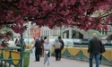 Мобілізація, вітряки й переселенці: воєнні тригери Закарпаття, та що з ними робити?