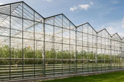 Фото умовне з сайту agrotimes.ua