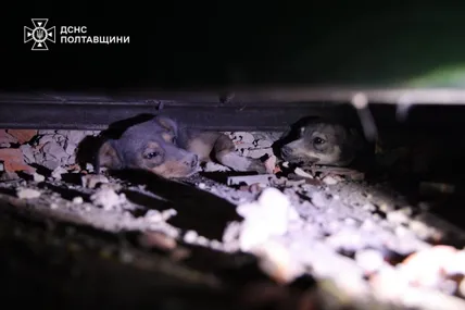 Фото: ДСНС Полтавщини