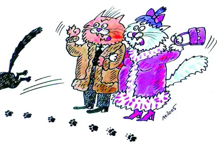 Щороку 17 листопада в Італії відзначають День захисту чорних котів
