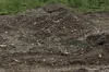 Порушник сплатив майже 100 тисяч гривень за незаконний видобуток корисних копалин на Стрийщині