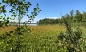 Клондайк червонокнижних видів (фото та відео)