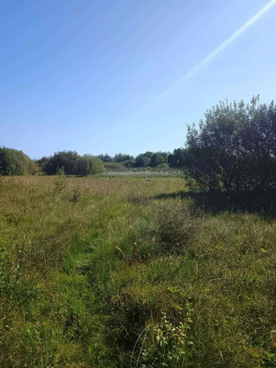 Фото: Шацький національний природний парк 