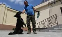 “Майданчик для вигулювання собак потрібний, хоча б один на мікрорайон, хоча б не супер модний...”