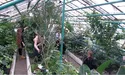 Школярі доглядають за екзотами