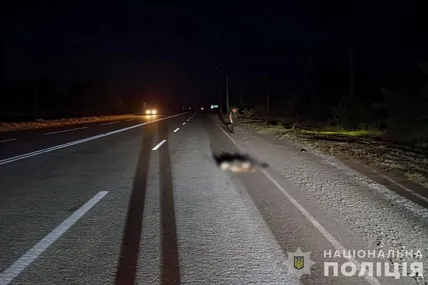 Фото: поліція Запоріжжя