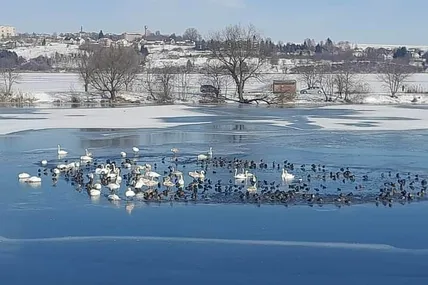 Разом і з холодом легше боротися... Фото із соцмереж.