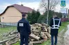 На Львівщині лісничого впіймали на хабарі в розмірі 20 тисяч гривень