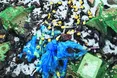 «На кожній пробірці читалося прізвище людини, яка здавала кров…»