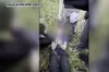 У Польщі підлітки жорстоко побили українця, намалювавши нацистську символіку на його обличчі
