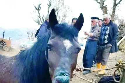 Фото з відкритих джерел