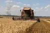У ЄС проти продовження заборони імпорту агропродукції із України, — ЗМІ