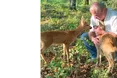 У майстрів Деревеньків — домашній зоопарк козуль