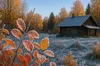 В Україні очікуються заморозки: якою буде погода у регіонах у жовтні