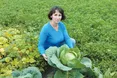 У турботливої ґаздині гарно родять овочі