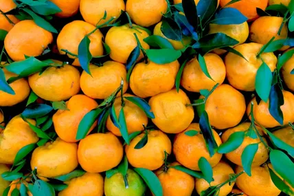 Фото ілюстративне з сайту pexels