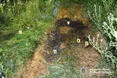Трагедія на Тернопільщині: жінка через ревнощі підпалила коханку чоловіка