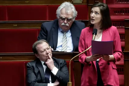 The Green MP for Rhône, Marie-Charlotte Garin. Фото: LeMonde