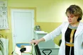 «Запчастини» для людини