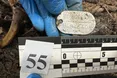 Українські експерти виявили два тіла, на яких збереглися особисті військові жетони росіян: що відомо