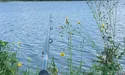 Серпень – пора жнив. І на водних плесах теж