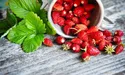 Суниця – природний антиоксидант