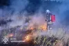 За добу в екосистемах України сталося 212 пожеж, частину з них спричинили російські обстріли
