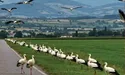 Від добрих людей відлітати не хочеться…