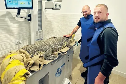 Джастін на операційному столі.