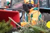 У столиці в січні розгорнуть 78 пунктів прийому новорічних дерев