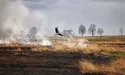На паліїв трави полюватимуть безпілотники