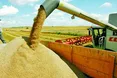 Наші соки і мед європейцям смакують