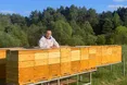 Бджолопад на Бродівщині