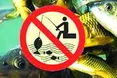 Де ловити рибу у нерестову пору на Львівщині