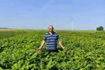 Горіховий король живе поблизу Львова