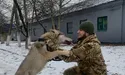 За Україну “друг Да Вінчі” воює із вовчою хваткою
